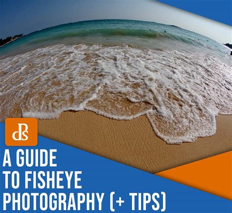 Fisheye Photography: A Quick Guide (+5 Tips).